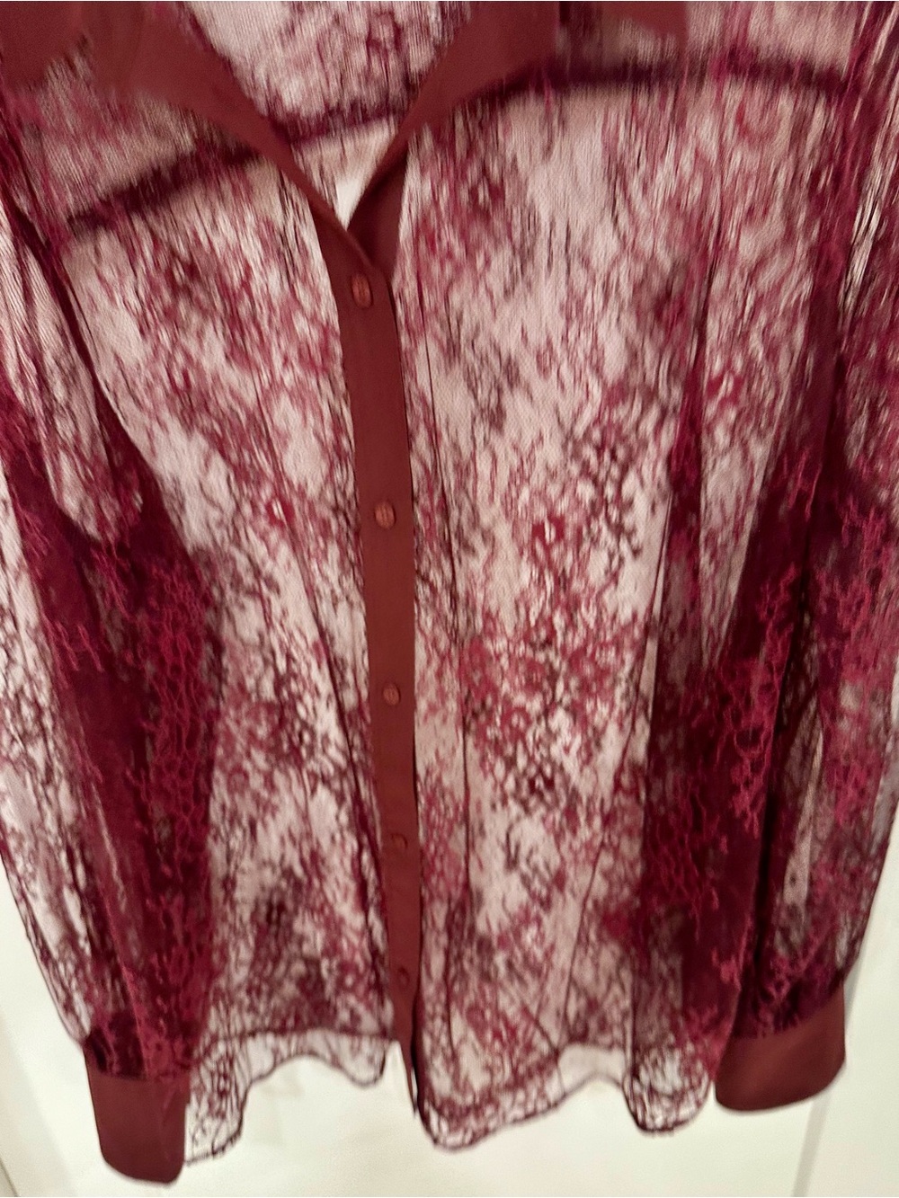 GAP Burgundy Sheer Lace Button-Down Shirt